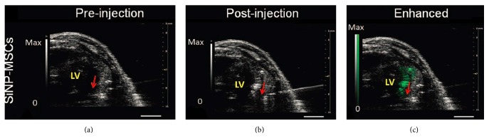 Figure 7