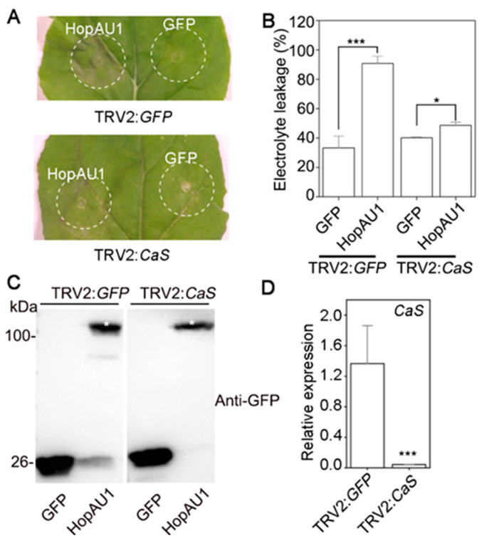 Figure 6