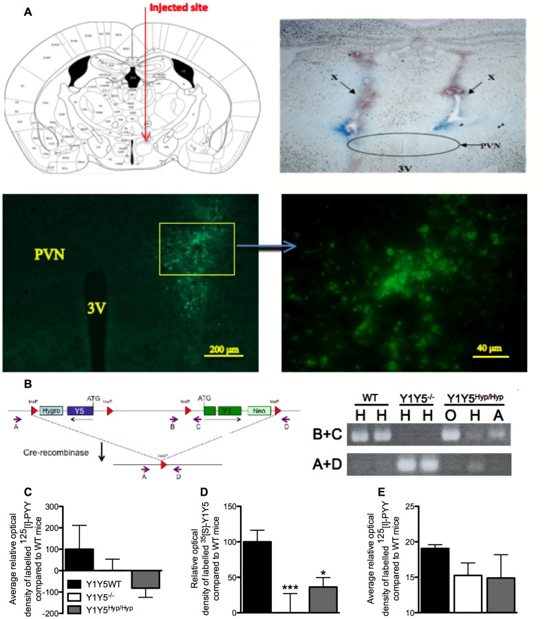 Figure 5