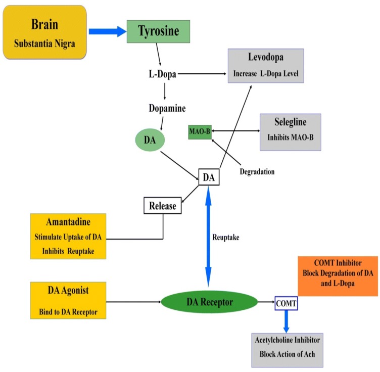 Fig. 3