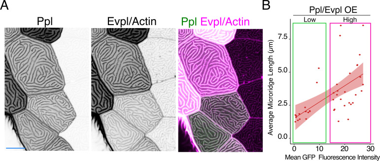 Figure 4—figure supplement 7.