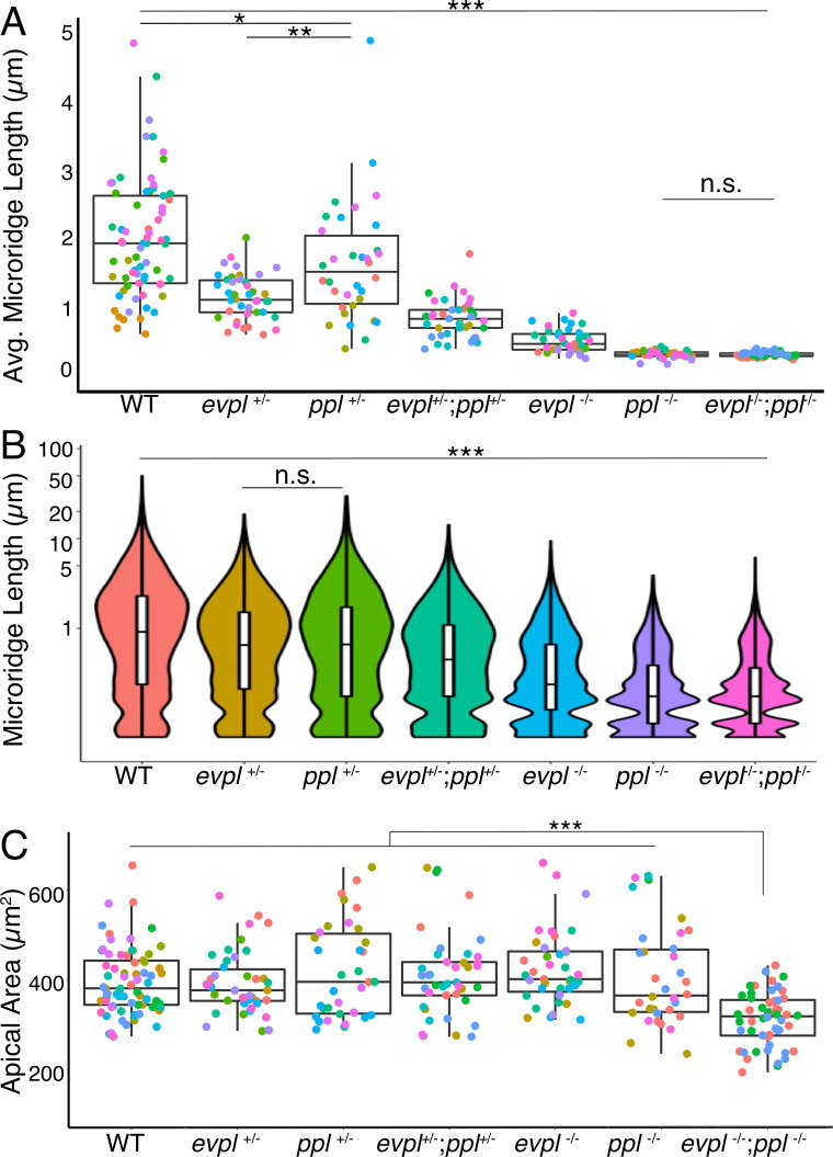 Figure 4—figure supplement 2.