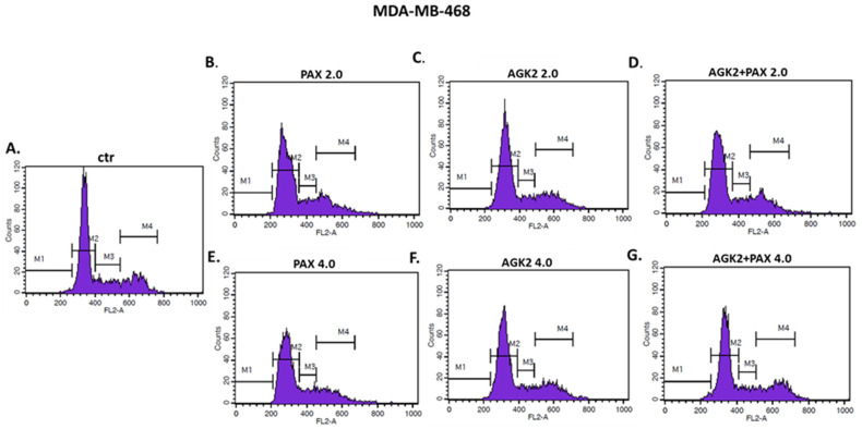 Figure 19