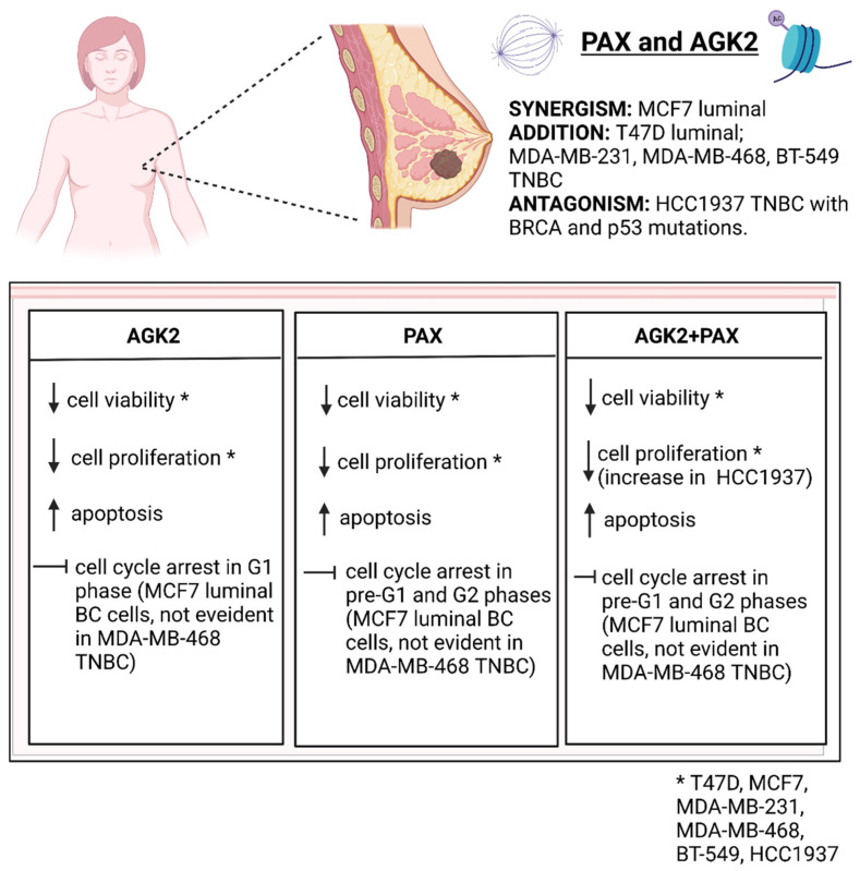Figure 20
