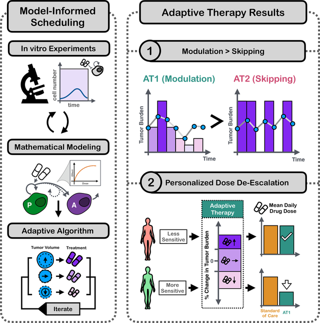 graphic file with name nihms-1990202-f0001.jpg