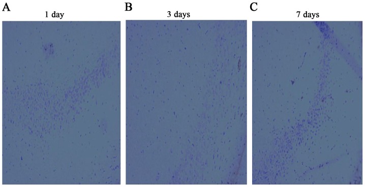 Figure 10.