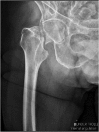 Fig. 2