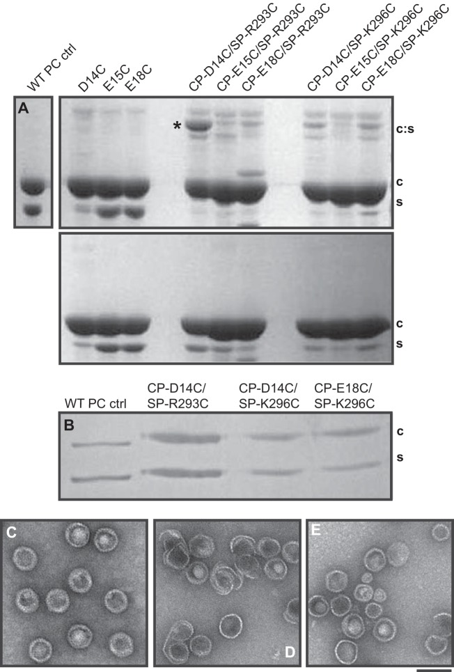 FIG 6