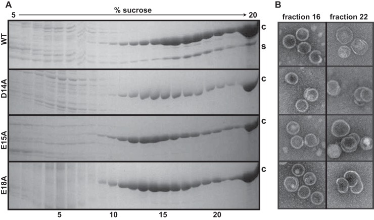 FIG 3