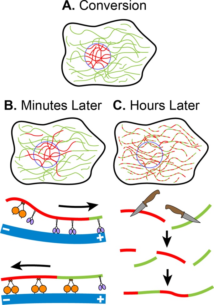 FIGURE 9: