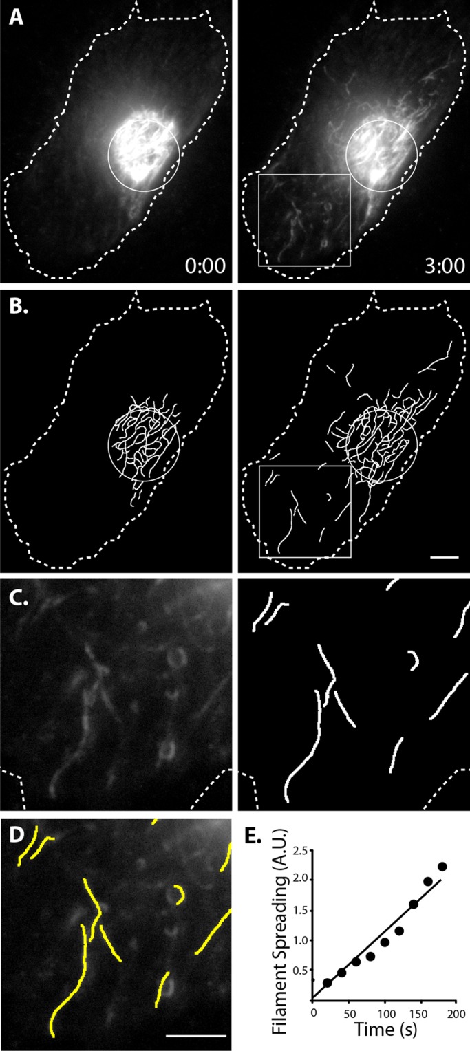 FIGURE 4: