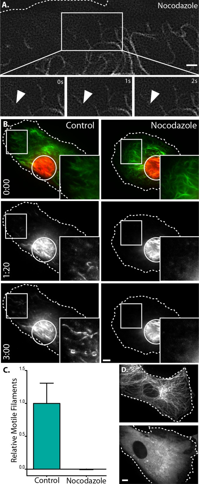 FIGURE 3: