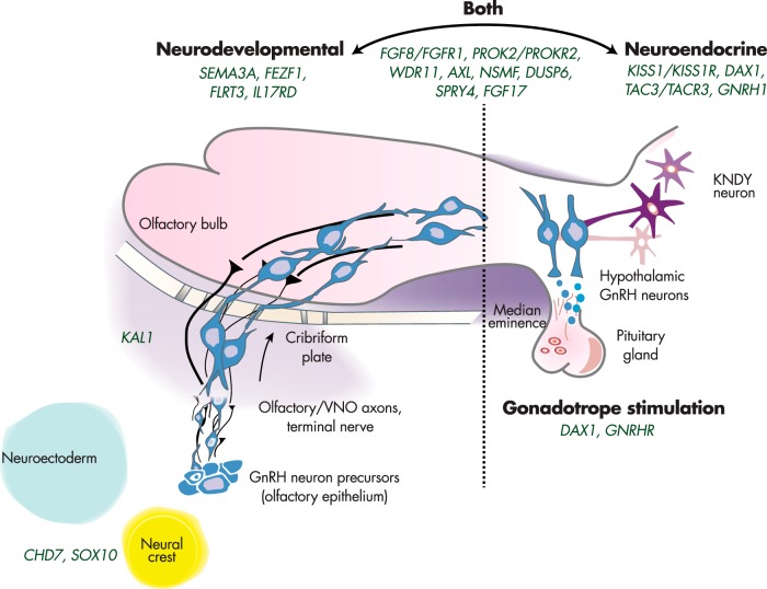 Figure 3.