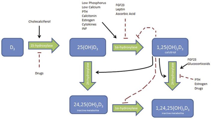 Fig. 1.