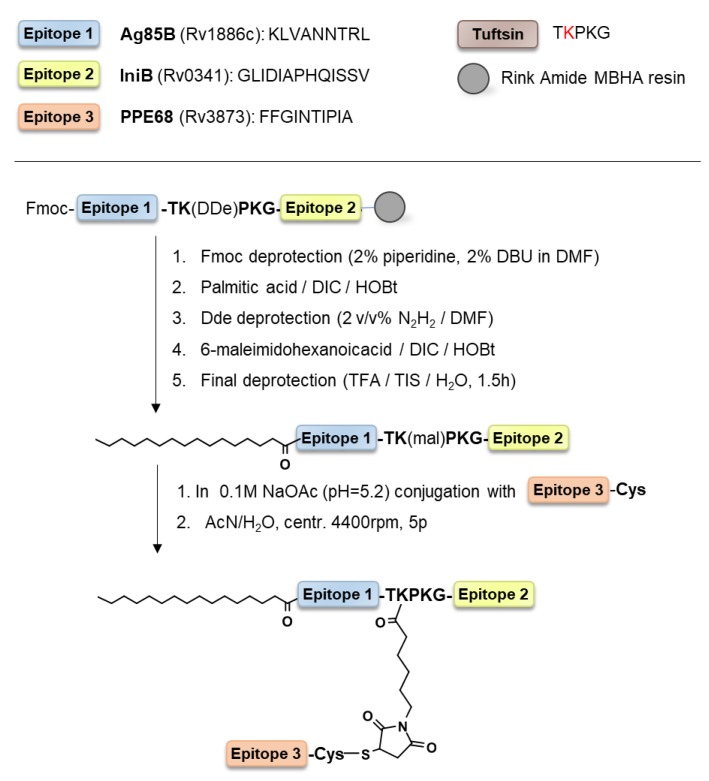 Scheme 1