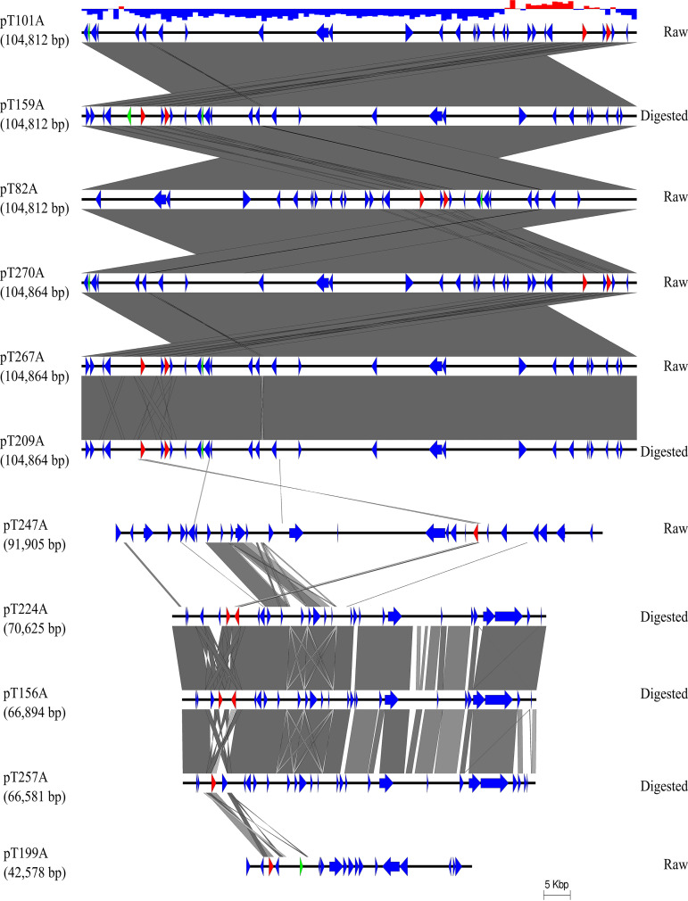 FIG 3