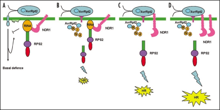 Figure 2