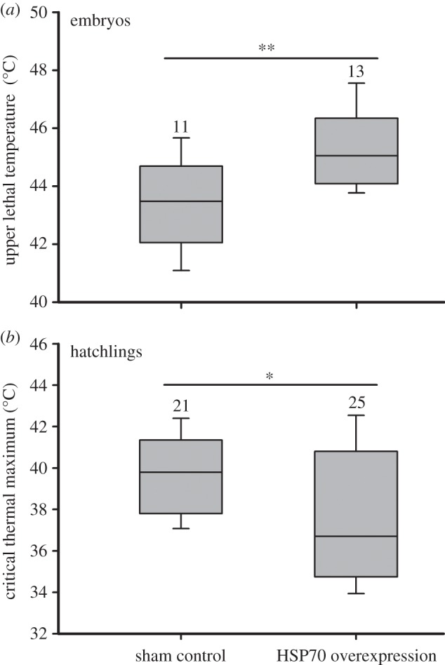 Figure 4.