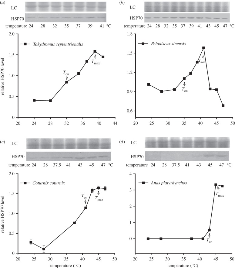 Figure 2.