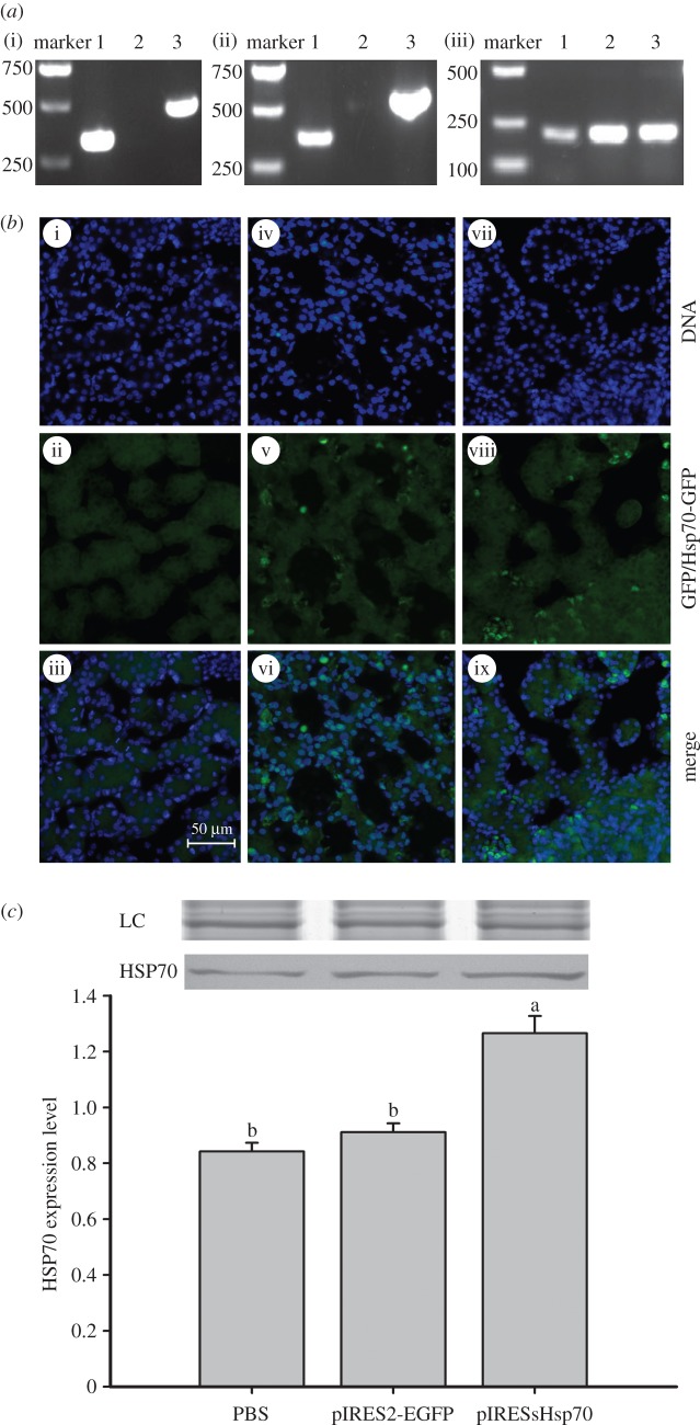 Figure 3.