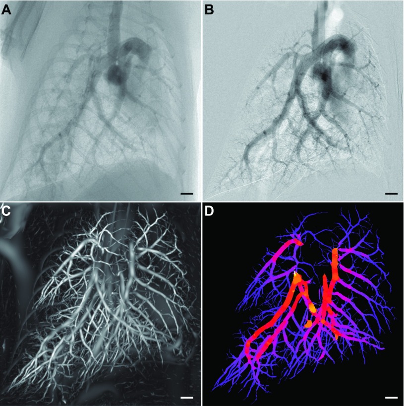 FIG. 2.