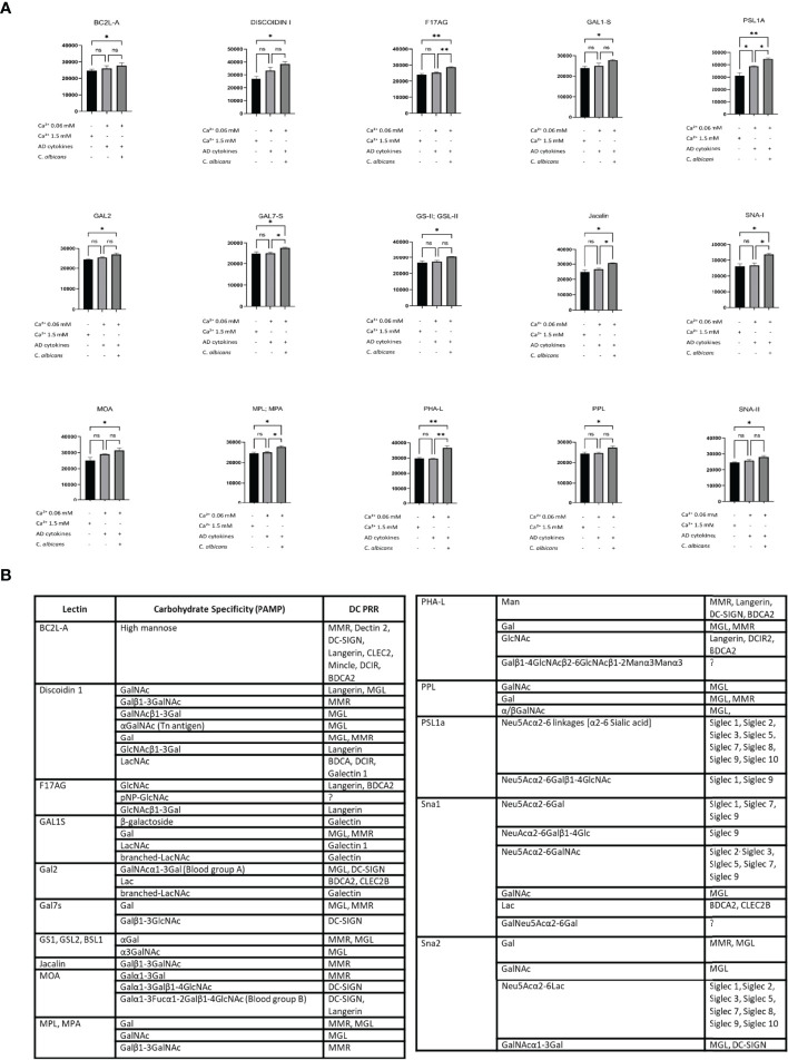 Figure 5