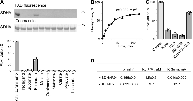 Figure 6