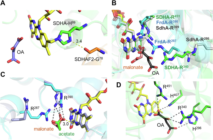 Figure 7