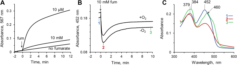 Figure 5