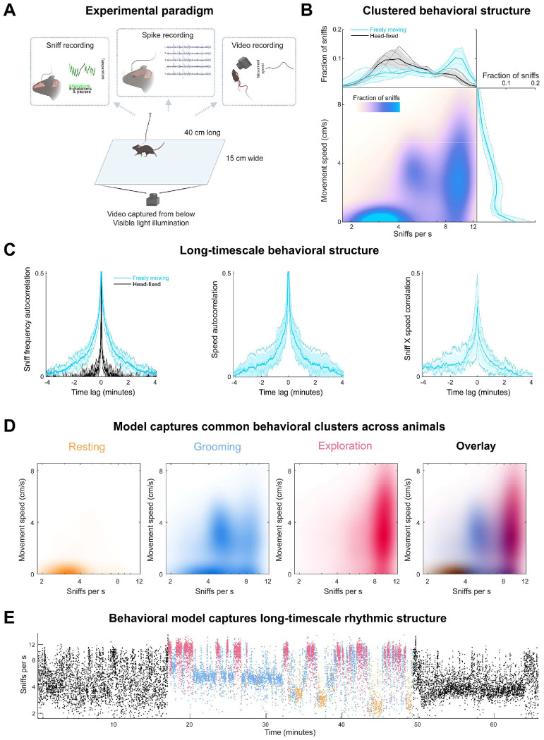 Figure 1: