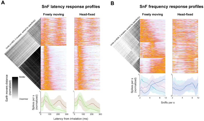 Figure 4: