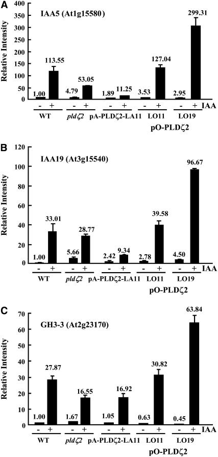 Figure 6.