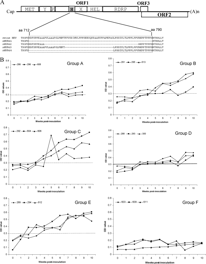 FIG. 4.