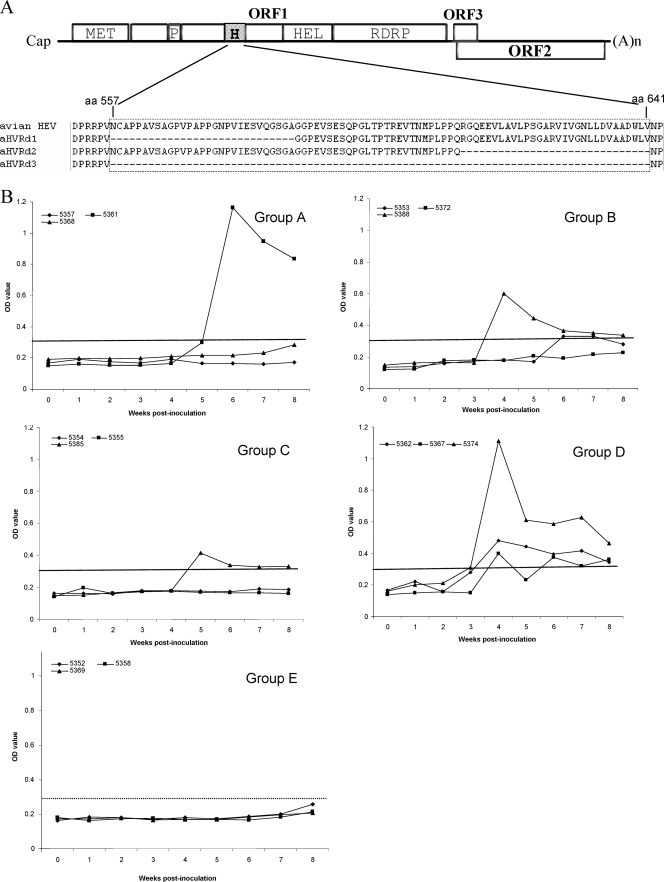 FIG. 3.