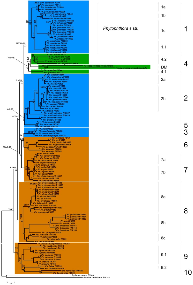 Fig. 1.