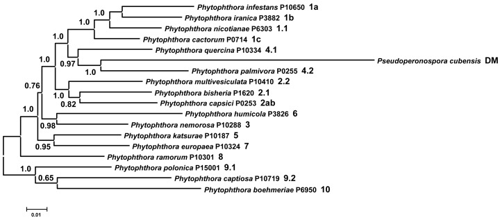 Fig. S1.