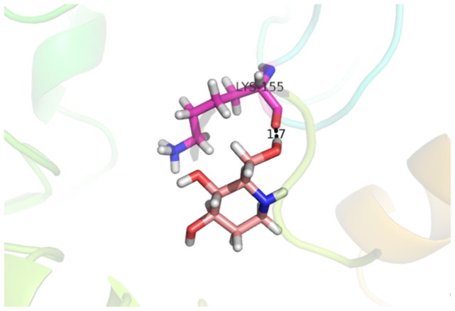 Figure 11