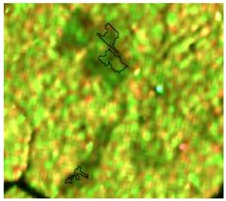 graphic file with name sensors-19-01140-i007.jpg