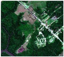 graphic file with name sensors-19-01140-i008.jpg