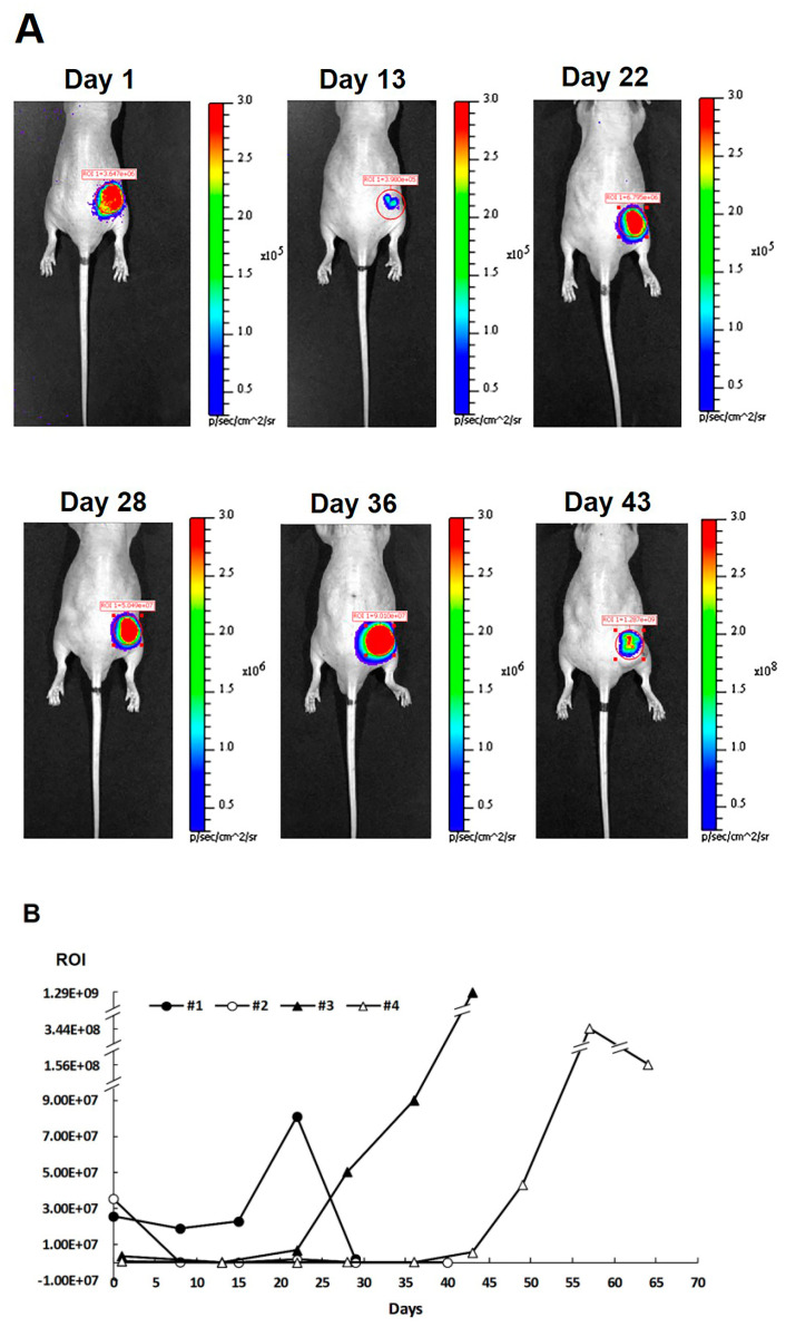 Figure 4