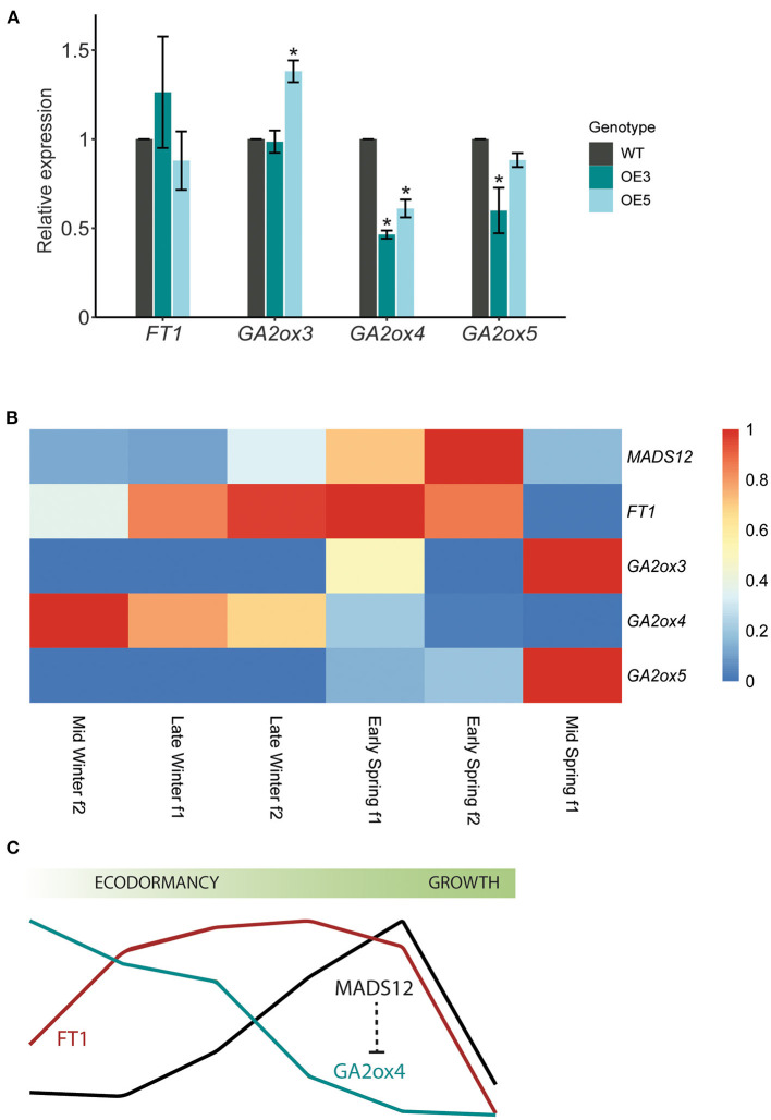 Figure 4