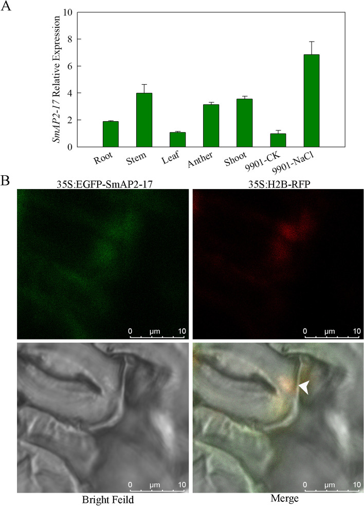 Fig. 3