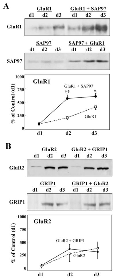 Fig. 9