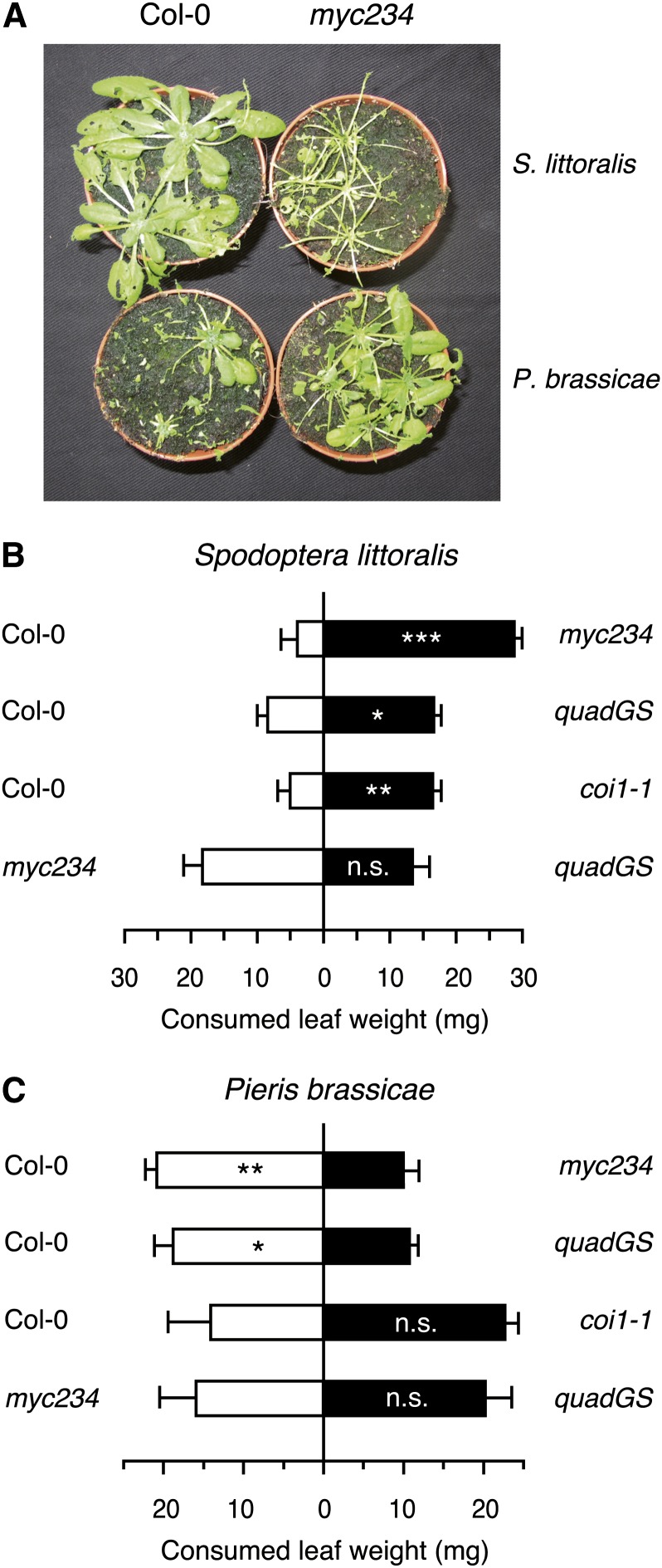 Figure 5.