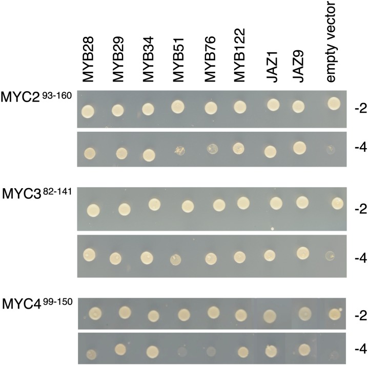 Figure 7.