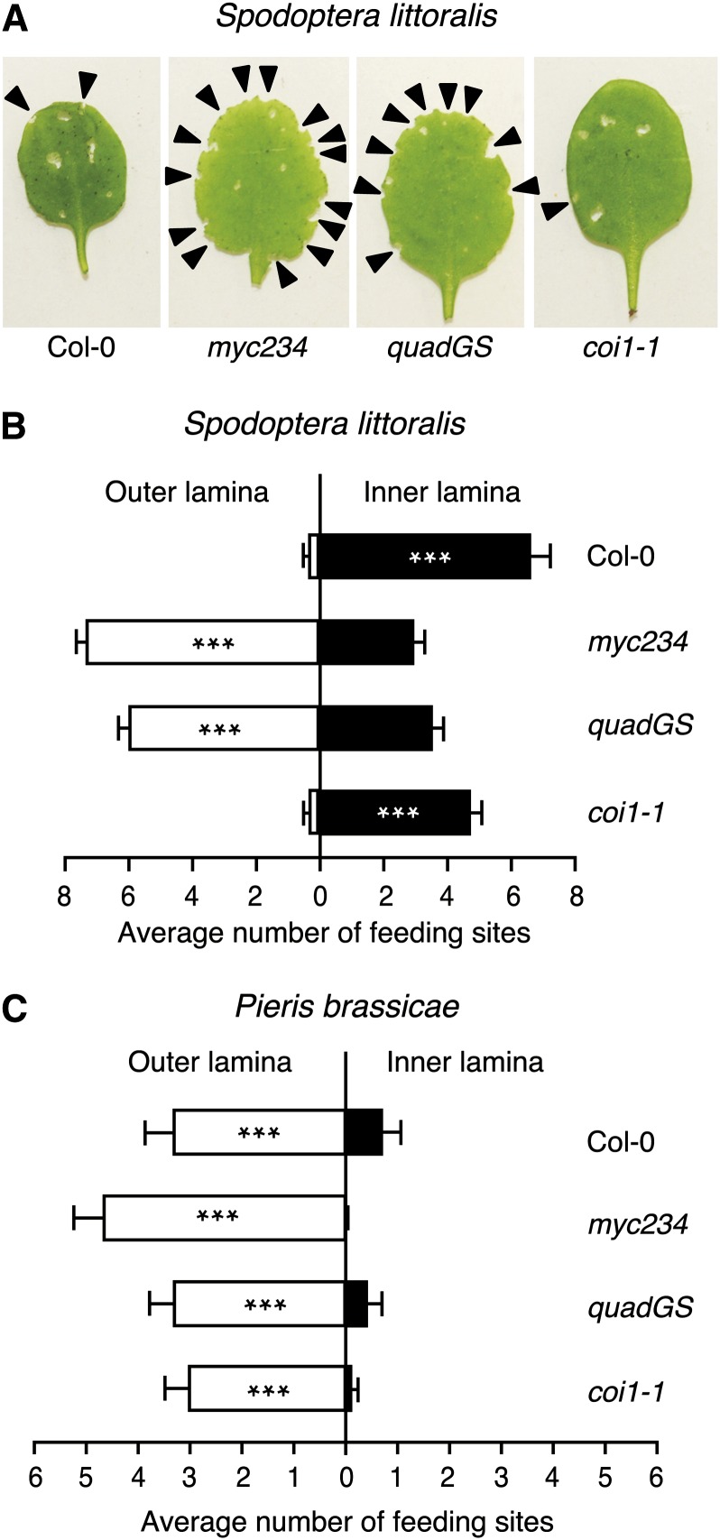 Figure 6.