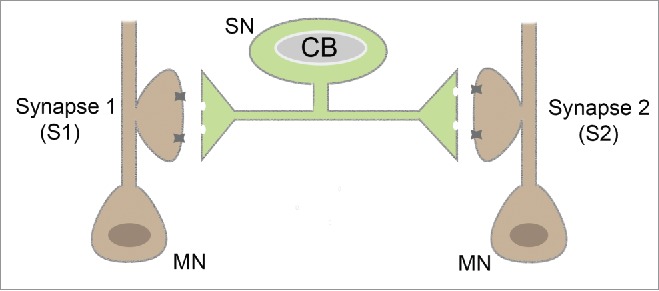 Figure 1.