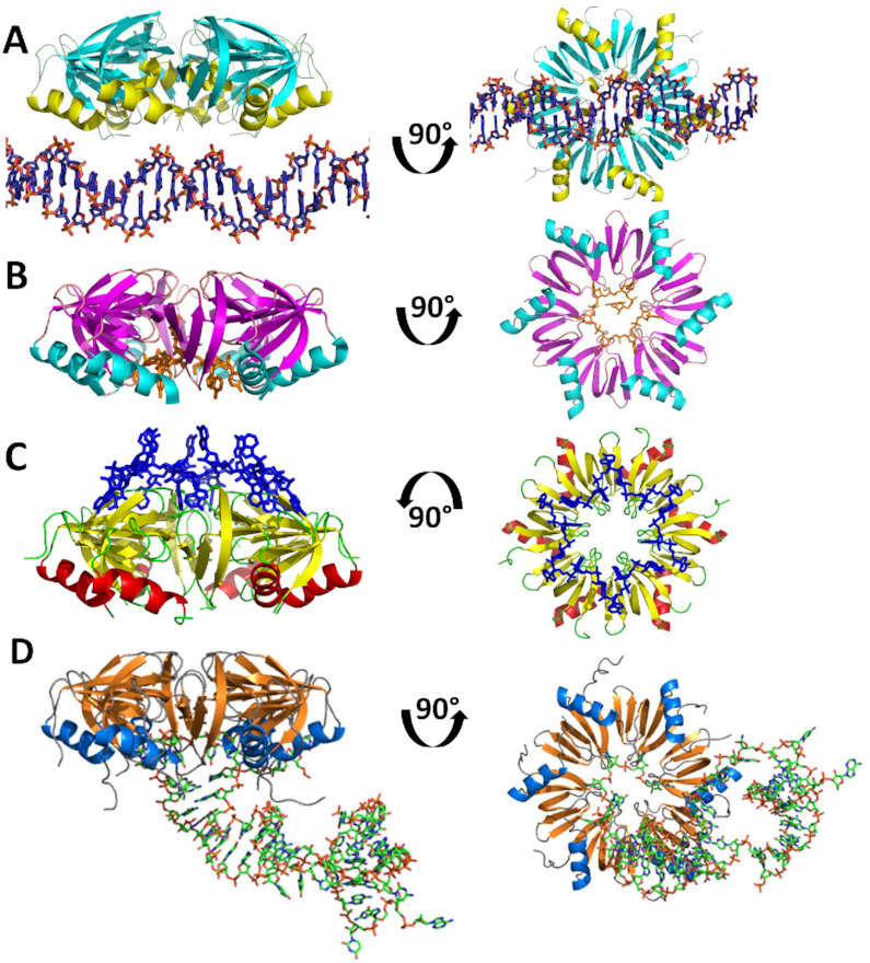 Figure 2.