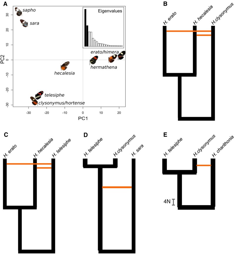 Fig. 4.