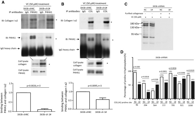 Fig. 6